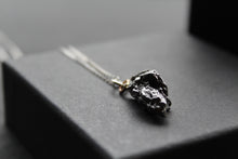 Load image into Gallery viewer, Campo Del Cielo Whole Iron Meteorite Pendant
