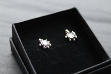 Load image into Gallery viewer, Silver Turtle Studs
