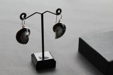 Load image into Gallery viewer, Nautilus Shell Earrings
