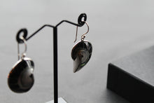 Load image into Gallery viewer, Nautilus Shell Earrings
