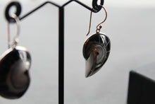 Load image into Gallery viewer, Nautilus Shell Earrings
