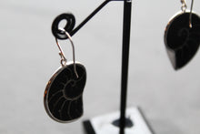 Load image into Gallery viewer, Nautilus Shell Earrings
