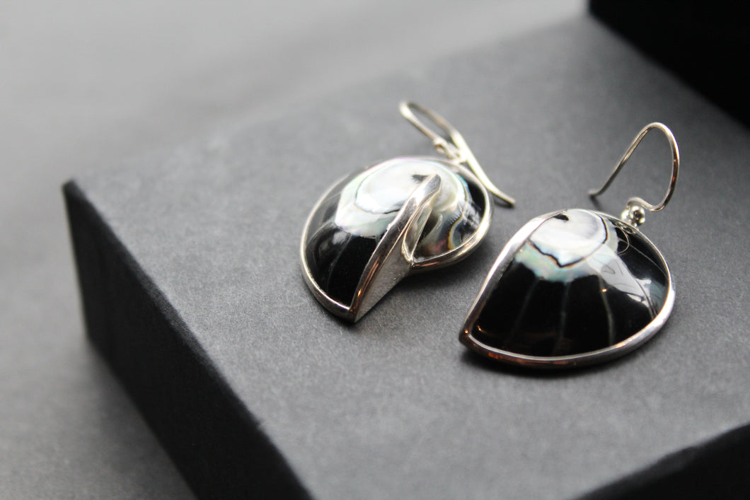 Nautilus Shell Earrings